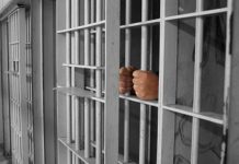 ,,Famiglia liberală“, condamnată la inchisoare pentru corupție. Cine sunt Grapă și Neag, artizanii procedurilor care au devalizat bugetul Județului Brașov