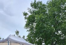 Biserica din Grid a primit al doilea hram, al Sfinților români. Camelia Potec, prezentă la eveniment, a primit o distincție de la IPS Laurențiu