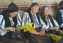 Sânzâienele sau Drăgaica. Obiceiuri şi tradiţii