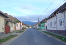 Beată la volan prin Viștea de Jos. Femeia i-a șocat pe polițiști cu 1,15 alcoolemie