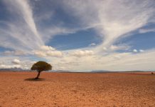 Când vine canicula în România. Temperaturile vor depăși 35 de grade