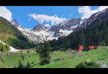 Vipere în masivul Făgăraș. Pericol pe Valea Sâmbetei, spun salvamontiștii