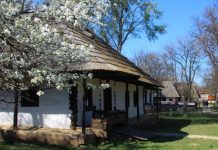 România, cel mai mare ritm de depopulare a satelor din UE / În fiecare an, 9 sate românești dispar