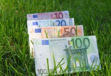 A încasat ilegal subvenții de la APIA de peste 140.000 de lei și a ajuns în fața procurorilor și a instanței. Bărbatul a fost condamnat 1,8 ani de închisoare cu suspendare