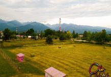 Eveniment cultural la stadionul din Victoria. ,,Oțâr de chităreală“, manifestare organizată de Darius Lupu și David Onițiu