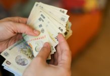 APIA: 105 ajutoare de stat în domeniul alimentar, acordate în județul Brașov, valoarea totală fiind de 525.000 euro