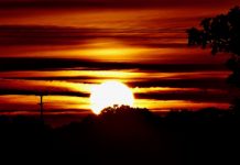 „Căldura roșie” lovește Europa: „Apocalipsa meteo” anunțată pentru 2050 vine în această săptămână