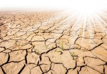 Alertă din cauza secetei în România. Guvernul face apel la consum responsabil al apei potabile