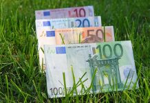 Condamnat la un an și 10 luni pentru subvențiile APIA obținute ilegal. Bărbatul va face muncă în folosul comunității la Primăria Hârseni sau la Făgăraș