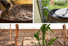 Românii, îndemnați să strângă apa de ploaie, astfel încât apa potabilă să ajungă tuturor