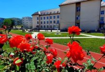 BAC-ul de toamnă se desfășoară în 3 centre de examen, unul fiind la Făgăraș, la Școala Gimnazială ,,Ovd Densușianu“