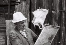 1 august – „Macaveiul ursului”