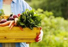 Secretul unui creier „tânăr şi sănătos“, dezvăluit de un nutriţionist de la Harvard. Ce trebuie să mâncăm