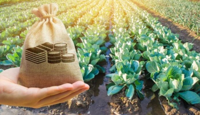 1-apia-botosani-clarificari-importante-pentru-beneficiarii-de-microgranturi-in-domeniul-agroalimentar