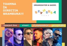 Concert Direcția 5 și Armonia Group la Brambura Park de pe Valea Avrigului. Atracția complexului este Casa întoarsă