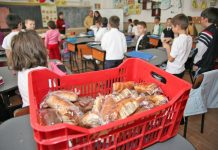 Elevii din județul Brașov vor primi corn, lapte și mere. Programul derulat de CJ Brașov costă peste 9 milioane de lei