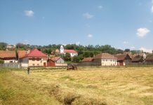 ,,Laolaltă ne e bine“, proiect dezvoltat în comuna Ticușu