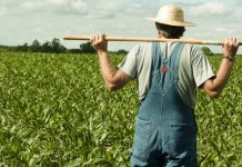 Ce cheltuieli decontează APIA fermierilor care au beneficiat de microgranturi în domeniul agroalimentar