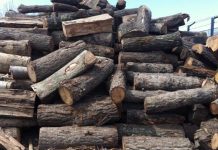 Prețul lemnului de foc pentru populație oscilează între 80 și 300 lei/mc în Țara Făgărașului. Unde sunt cele mai mici tarife monitorfg