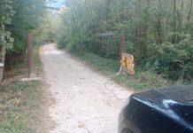 Drumul de acces spre Mănăstirea Dejani a fost deschis de proprietarul Profiles Total SRL, pentru slujba de duminică