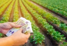 APIA a dat startul plăților în avans pentru Campania 2022