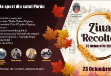 Ziua Recoltei la Părău. Produse locale, muzică, dansuri și foc de artificii