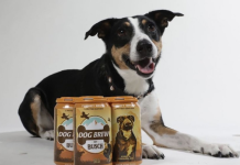 Americanii au lansat o bere cu gust de curcan, pentru câini. Ce conține și cât costă