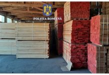 O firmă de exploatare și valorificare a lemnului din Voila a fost amendată de oamenii legii