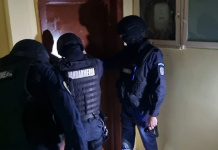 Ziua Z a perchezițiilor: Sute de descinderi au loc simultan în toată țara, desfășurate de ofițeri de la toate brigăzile de combatere a crimei organizate