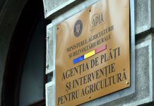 APIA: 90 zile, termenul pentru depunerea rapoartelor privind granturile IMM