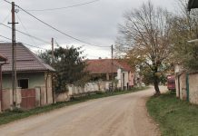 Informare. Cetățenii din Grid, convocați să semneze procesele verbale de punere în posesie. Când este programată ședința