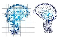 Descoperire revoluționară: Ceaiul verde și resveratrolul reduc plăcile de Alzheimer