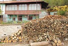 Deputații sunt așteptați să modifice Ordonanța privind plafonarea prețului la lemnele de foc