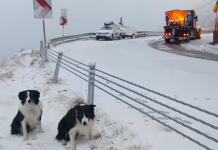 A nins pe Transfăgărășan. Zăpada are câțiva centimetri