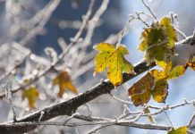 Scad temperaturile și reapar ploile. Cum va fi vremea în următoarea perioadă, până în 5 decembrie