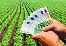 APIA va face plata finală în cadrul Campaniei 2022 pentru fermieri