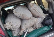 Prins la braconaj pe Olt, la Porumbacu de Jos. Bărbatul avea 200 kg de pește monitorfg