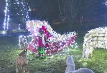 Purolite luminează sărbătorile, celebrând comunitatea din care face parte! ,,Ne aşteptăm la lucruri deosebite în 2023” spune David Papini, director general Purolite