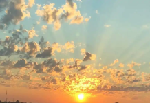 Miercuri a fost cea mai caldă zi de iarnă din istoria măsurătorilor meteo din România. Unde s-au înregistrat 22,5 grade Celsius