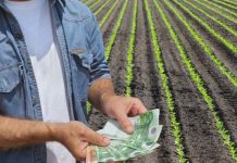 APIA: Fermierii vor putea depune Cererile de plată pentru anul 2023, începând cu 1 martie. Cererile se pot depune și online