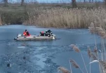 Video. Pompierii făgărășeni au salvat 3 câini de la înec. Patrupedele au căzut în lacul din Parcul ,,Regina Maria“