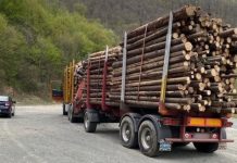 16 transportatori de lemne au fost sancționați de polițiști. Nu s-au înregistrat în programul SUMAL 2.0