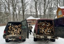 Furt de lemne la Arpașu de Sus. Doi localnici s-au ales cu dosare penale