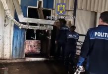 Foto și Video. Cai sacrificați ilegal în abatorul din Ucea de Jos și exportați în Italia. Cinci persoane plasate sub control judiciar pentru 60 de zile. Grup infracțional organizat