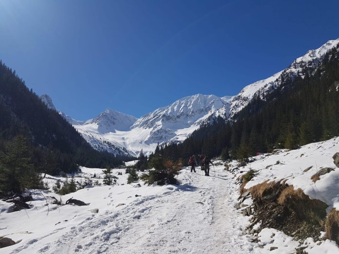 336683870_738901097690888_2035693668858465352_n