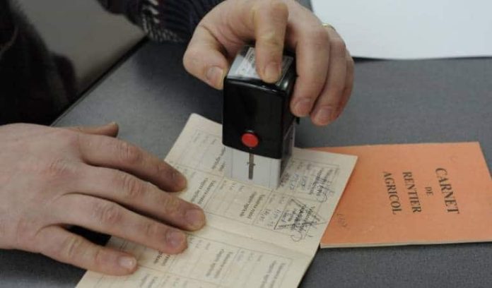 49878644rentaviagerak15