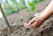 APIA primește Cereri de plată pentru schema de ajutor de stat „Sprijin pentru prima împădurire și crearea de suprafețe împădurite”
