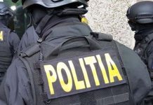 Cai sacrificați ilegal într-un abator din județul Brașov. Dosar penal pentru LUARE DE MITĂ, DETURNAREA LICITAȚIILOR PUBLICE, UCIDEREA ANIMALELOR ȘI SPĂLAREA BANILOR