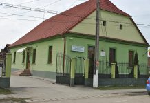 Curtea de Conturi dă dreptate primarului de la Părău. Nereguli pe linie la Ocolul silvic ,,Pădurile Șincii“