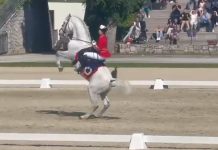 Video și foto. Georgiana Neselean și Fulg de la Herghelia Sâmbăta de Jos au impresionat la Festivalul Calului de Rasă Lipițană desfășurat în Slovenia